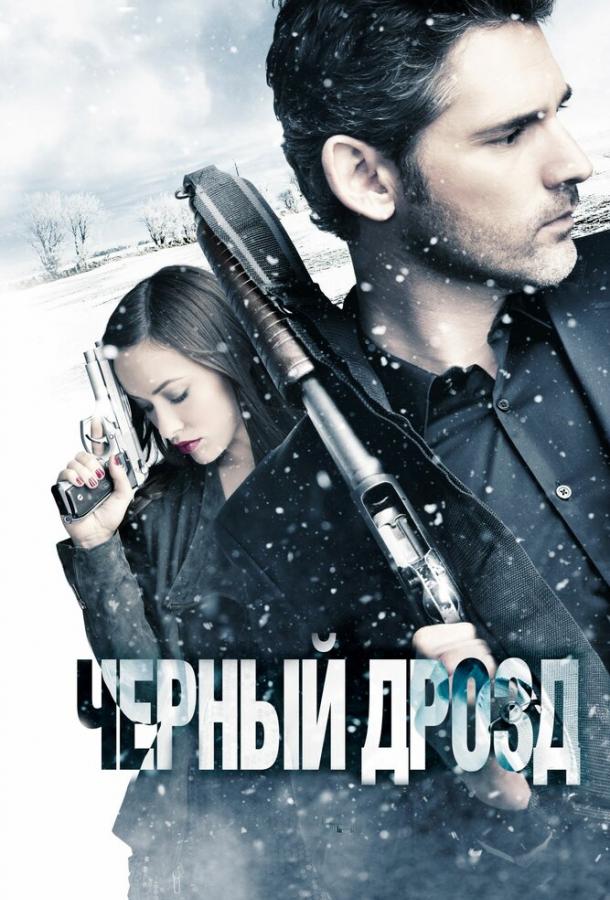 Фильм Черный дрозд 2011 года смотреть онлайн с Эриком Баной и Сисси Спейсек